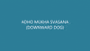 bcchiro chiropractic cca chiro downwarddog GIF