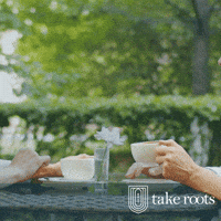 Cheer Up Coffee GIF by Take Roots Consulting