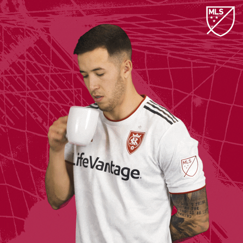 Real Salt Lake Drinking GIF by Major League Soccer