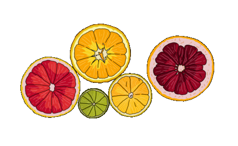 Orange Fruit Sticker