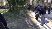 tires GIF by WAMU
