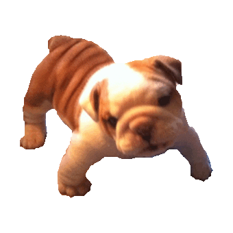 dog puppy Sticker