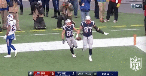 New England Patriots Football GIF by NFL