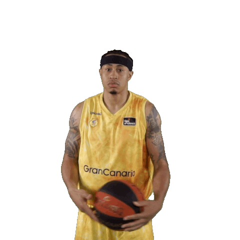 Liga Endesa Basketball Sticker by ACB