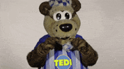 Hertha Berlin Sport GIF by Hertha BSC