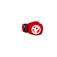 9roundAuroraBradford bradford 9round 9roundbradford 9round bradford Sticker