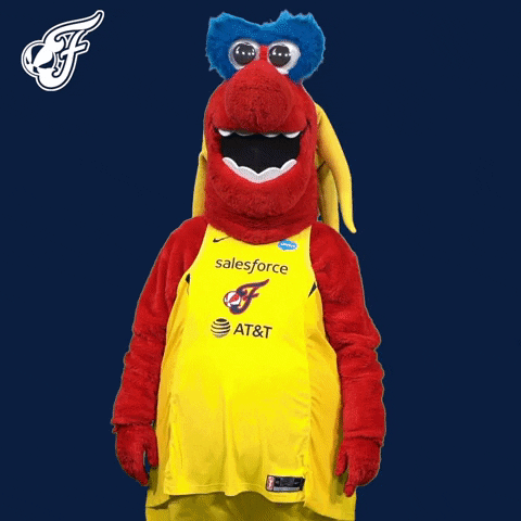 Hows It Going Whats Up GIF by Indiana Fever