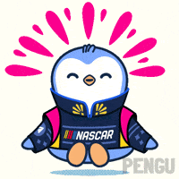 Meditating Race Driver GIF by Pudgy Penguins