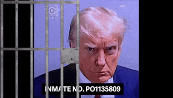 Trump Mug Shot