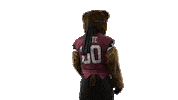Bear Spin Sticker by Montana Grizzlies