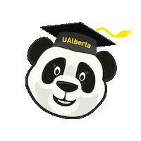 U Of A Bear Sticker by UAlberta Business