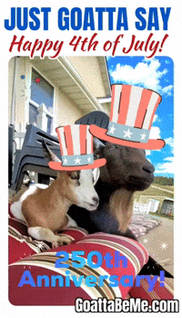 Fourth July Usa GIF by Goatta Be Me Goats! Adventures of Java, Toffee, Pumpkin and Cookie!