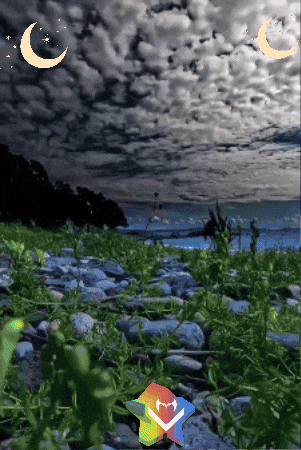 Amigos Paz GIF by Murcianys LLC