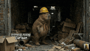 Confused Construction GIF