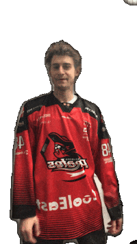Hockey Player Pirates Sticker by AalborgPirates