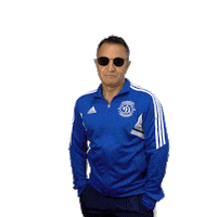 Dynamoneva Sticker by HC Dynamo Saint Petersburg