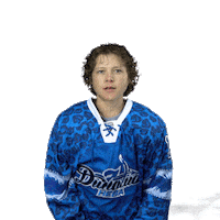 Dynamoneva Sticker by HC Dynamo Saint Petersburg