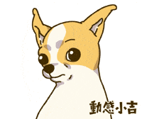 Animation Dog GIF