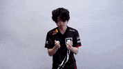 Face Palm GIF by G2 Esports