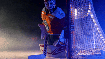 Hockey GIF by Toledo Walleye