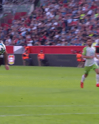 bayer 04 leverkusen soccer GIF