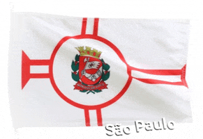 SubprefeituraAFC bandeira so paulo cidade de so paulo bandeira de so paulo GIF