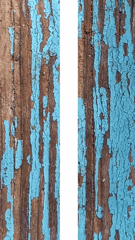 Simongip giphyupload GIF