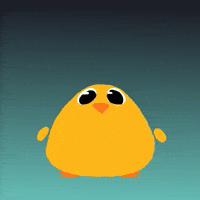 davidbesnier-c3d0 dance danse pigeon oiseau GIF