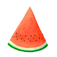 Piratino illustration watermelon wassermelone languria Sticker