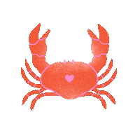 limistic summer beach ocean fish Sticker