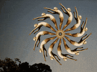 animation animated gif GIF by weinventyou