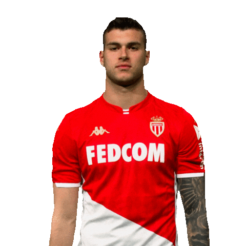 Ligue 1 Football Sticker by AS Monaco
