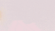 Football Sport GIF by FC Red Bull Salzburg