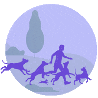 Doggydaycare Sticker by Skiptown