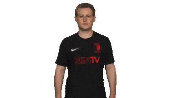 Fifa Salute Sticker by Bundesliga