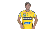 Handball-Bundesliga Finger Sticker by LIQUI MOLY HBL