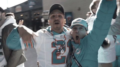 Happy Miami Dolphins GIF by Dolfans NYC