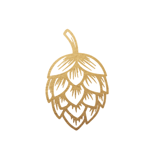 Gold Pils Sticker by radeberger