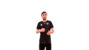 Clap Bravo Sticker by Plessis Robinson VolleyBall