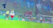 Sport Tor GIF