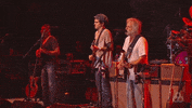 john mayer bonnaroo 2016 GIF by Bonnaroo Music and Arts Festival