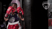 allroundchampiontv training boxing punch olympics GIF