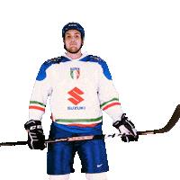 federazioneghiaccio hockey ice wintersport sportinvernali Sticker