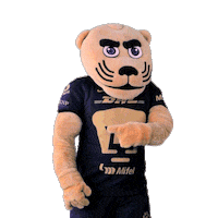 Proud Football Sticker by Pumas MX