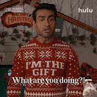 What Are You Doing Wtf GIF by HULU