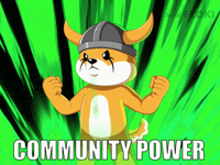 Bull Run Crypto GIF by FLOKI