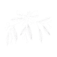 findingthelittlethings christmas kiss winter holidays Sticker