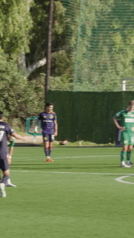 GIF by Santo Coffee Co.