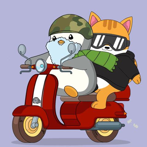 On My Way Cat GIF by Pudgy Penguins