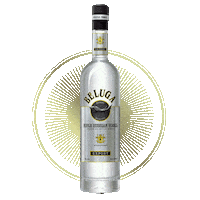 Party Celebration Sticker by Beluga Vodka